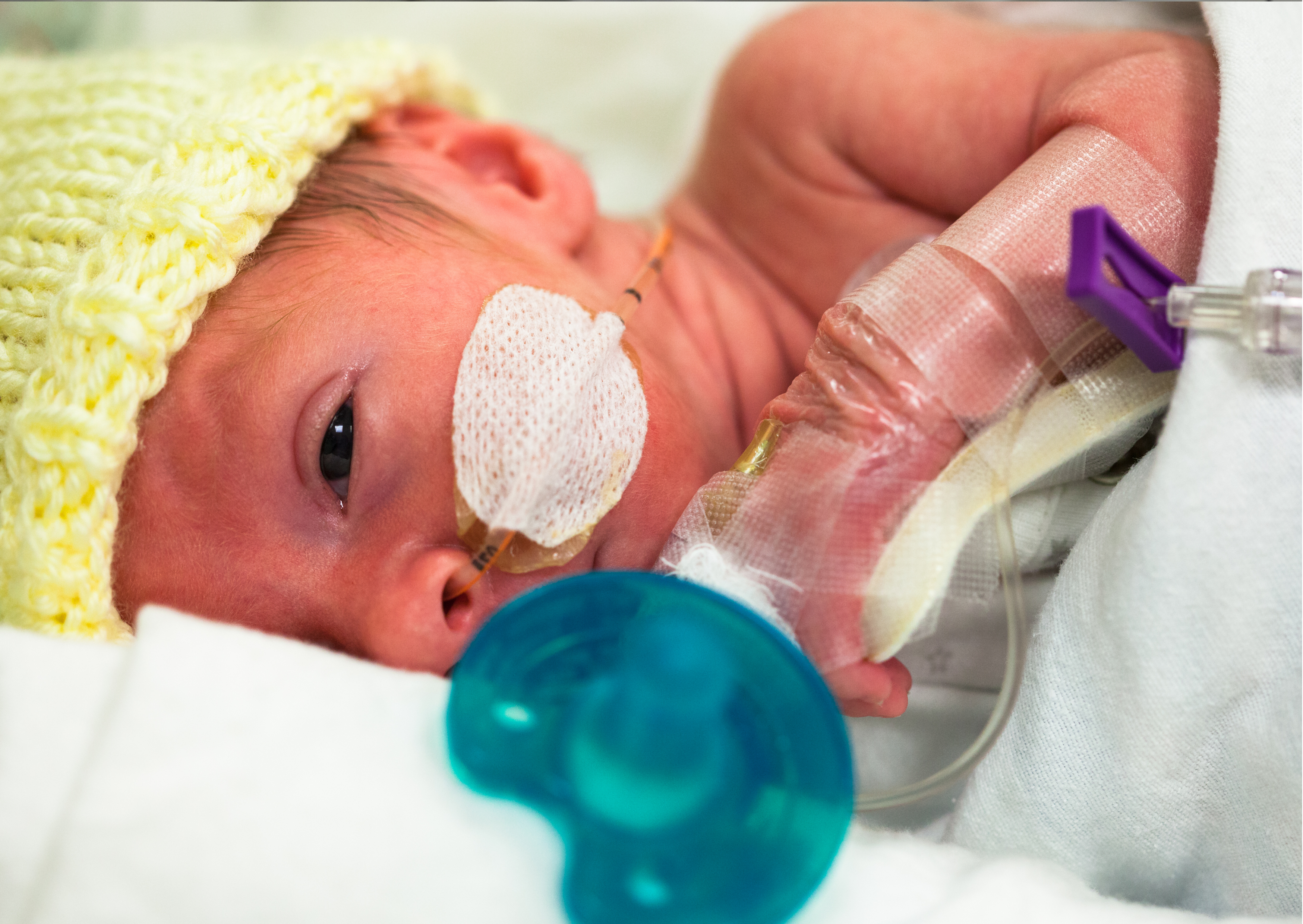 Proste Prawdy OION cz. I