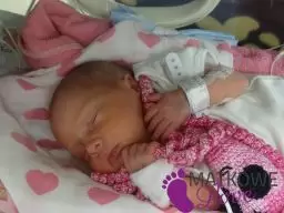 Wcześniak - Słów kilka